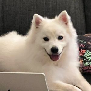 Meet your Posher, Billy